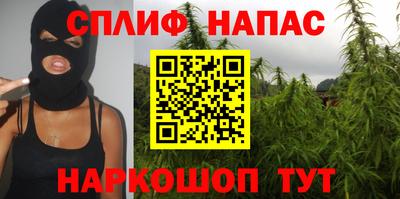 дурь Бийск