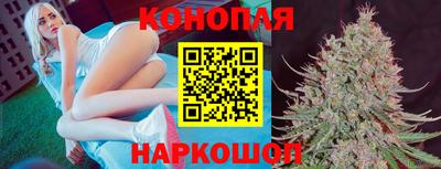 Альфа ПВП Беслан