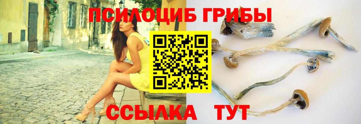 Галлюциногенные грибы GOLDEN TEACHER Волжск